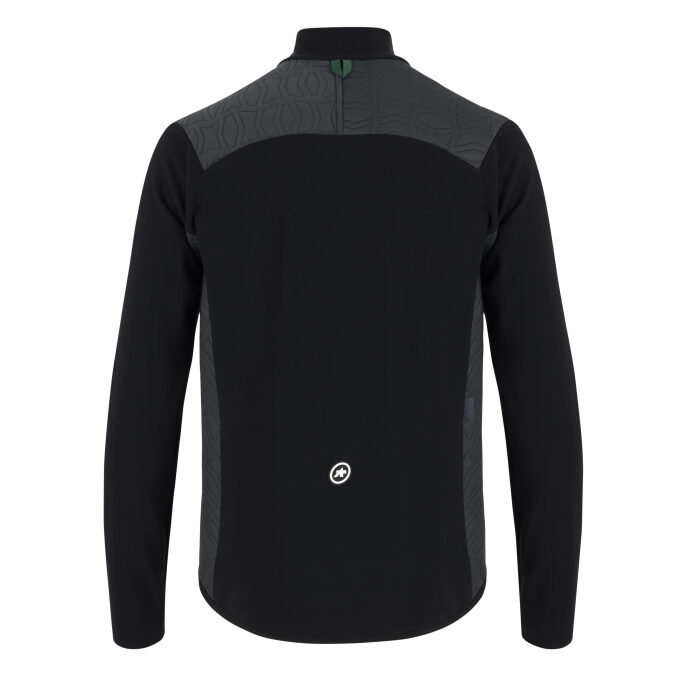 Steppenwolf Back Assos scaled